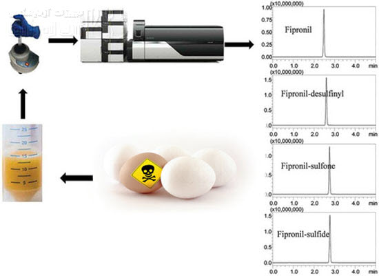 بررسی فیپرونیل در تخم مرغ با LC/MS/MS