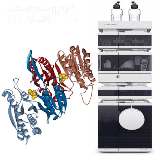 اندازه گیری وزن مولکولی پپتیدهای سنتزی با دستگاه LC/MS