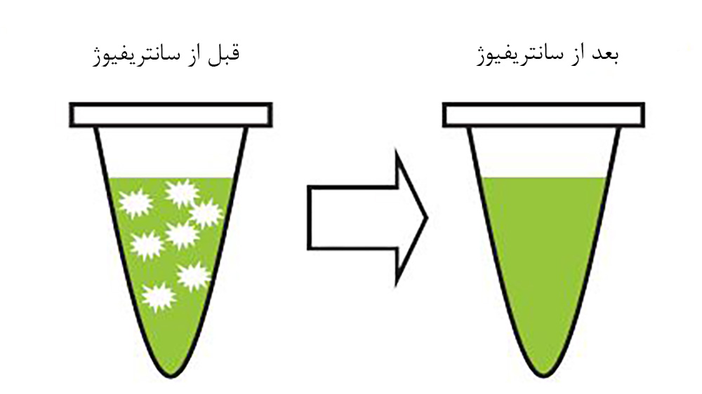 آماده سازی نمونه برای استخراج کافئین در چای سبز
