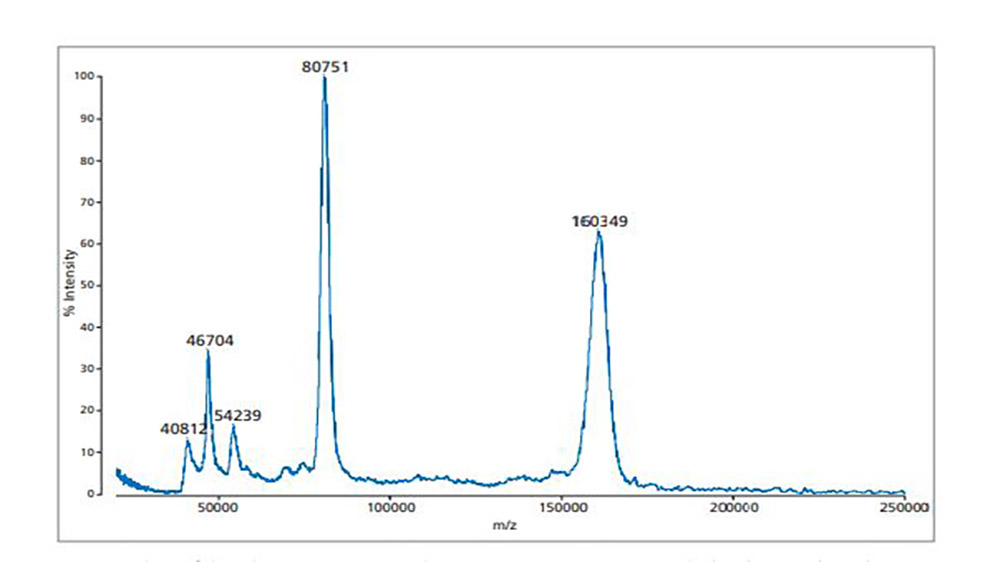 analyze imonogulobin with TOC MALDI-