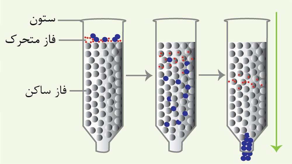 ساختار ستون کروماتوگرافی مایع