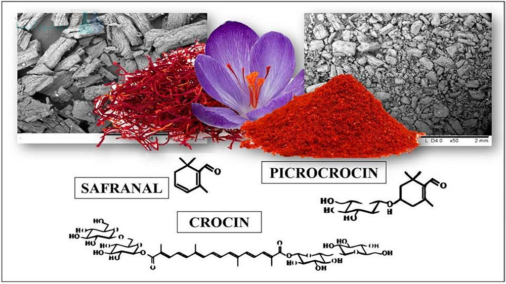 زعفران پودر شده و رشته ای در کنار گل زعفران
